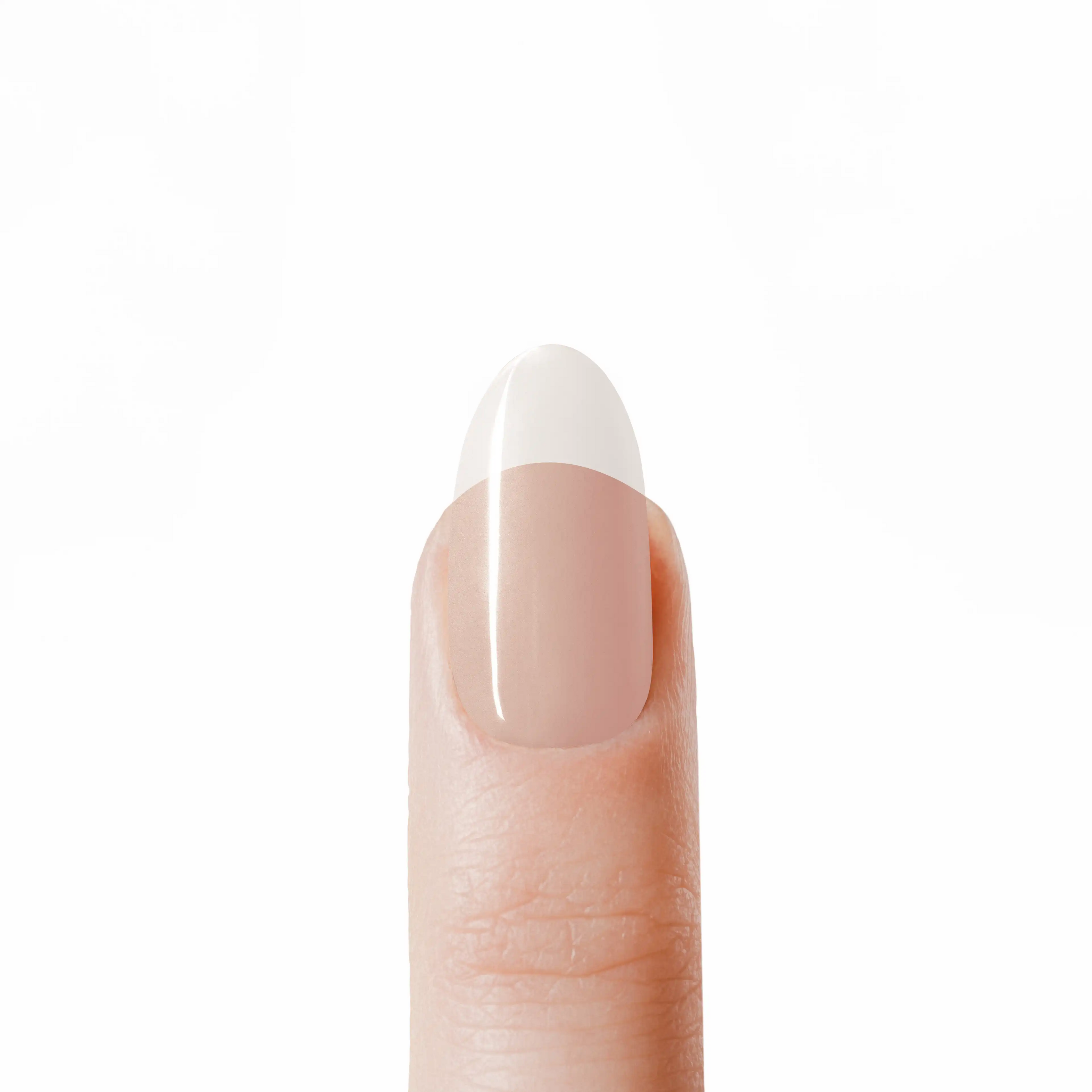 Costruttore Transparent Acrilico