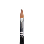 Pennello Basic Acrygel One