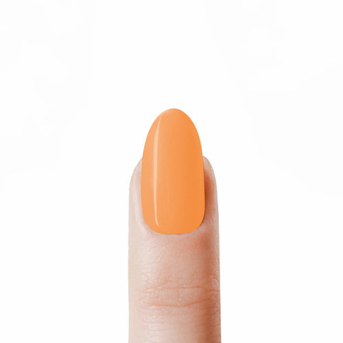 Paint Gel 18