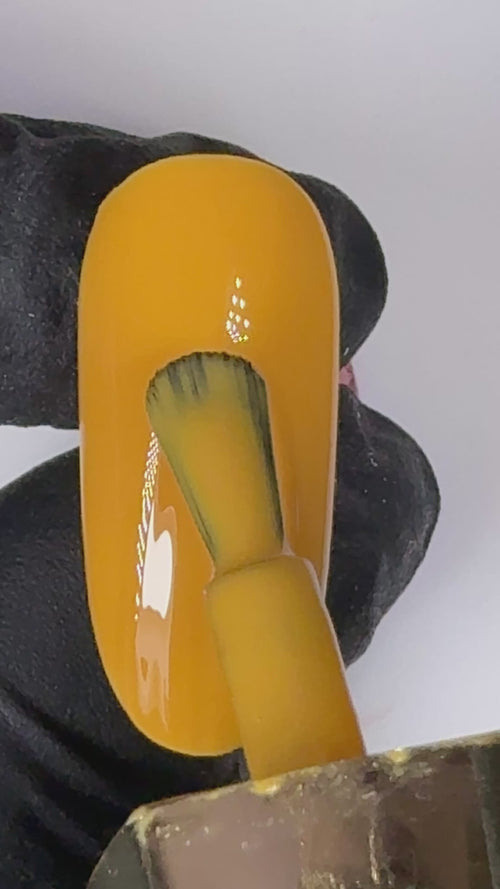 Colore Semipermanente Powerlac Linea Giallo XY04