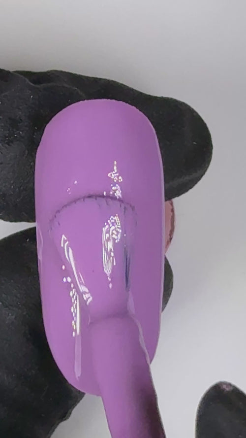 Colore Semipermanente Powerlac Linea Viola XV14